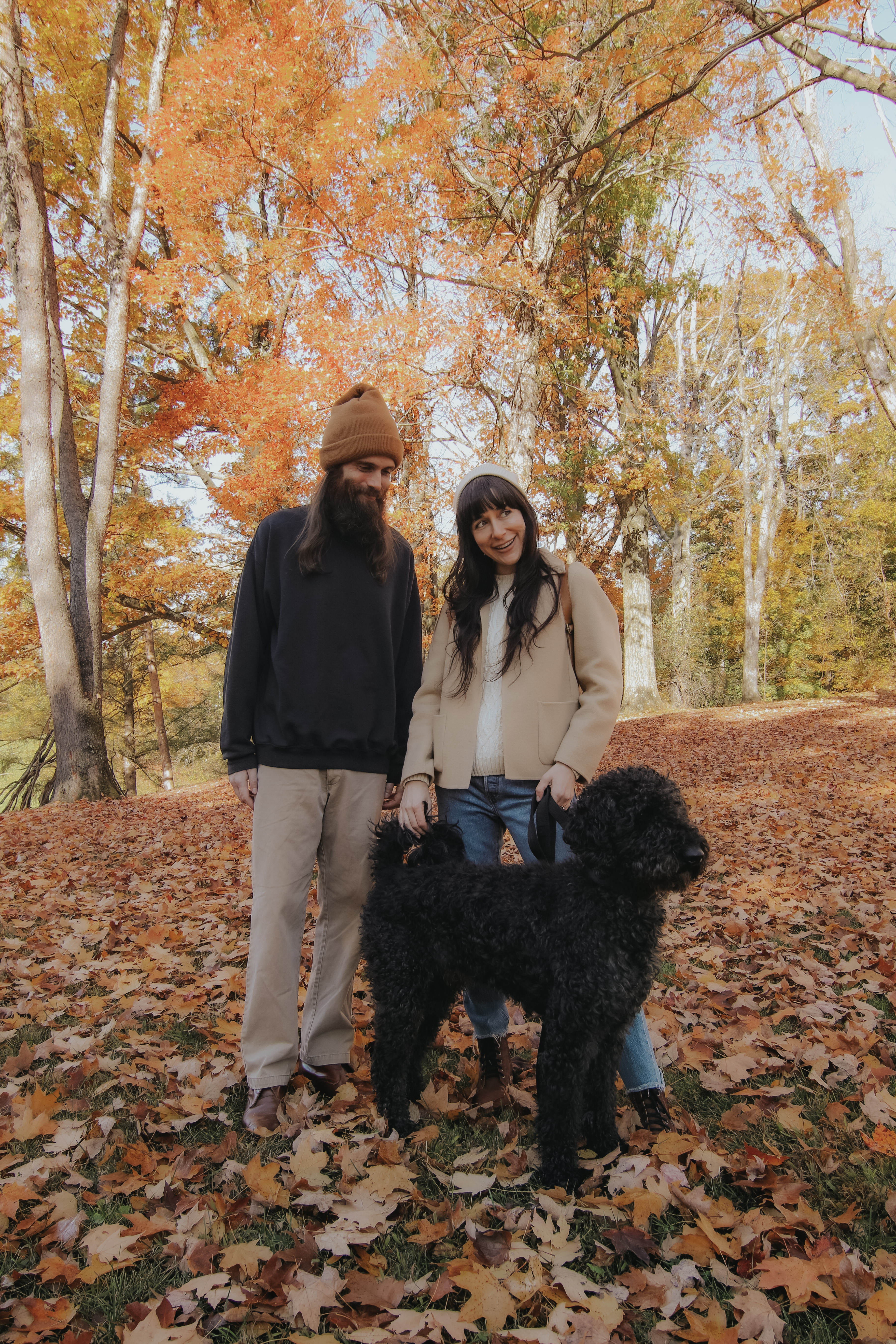 10 Dried Flowers + Pampas Grass + Greenery Finds For Fall On